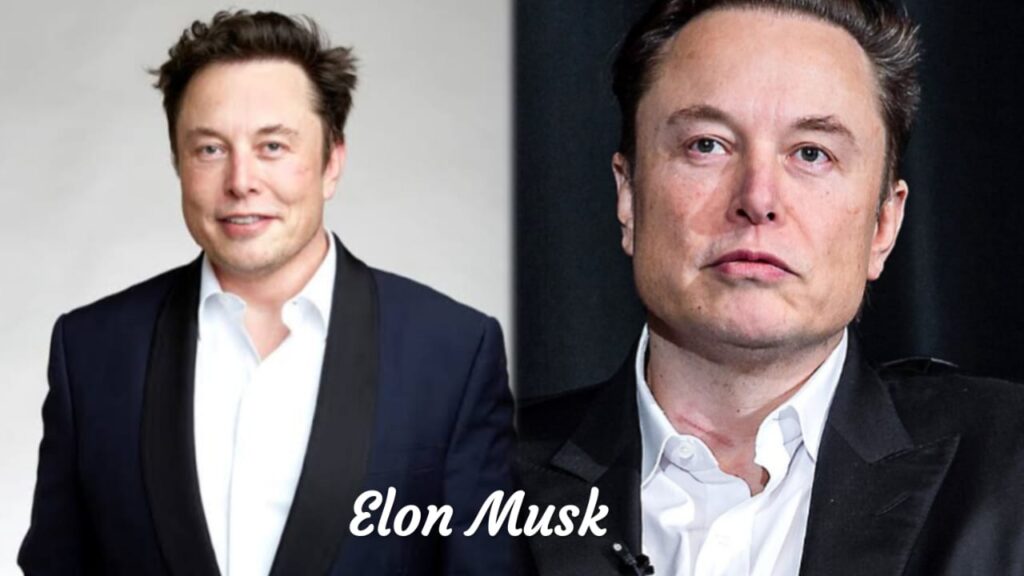 Biography of Elon Musk 